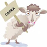 Capra