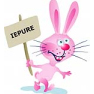 Iepure