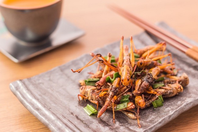 insecte comestibile aflate pe un platou alaturi de un bol in bucataria asiatica