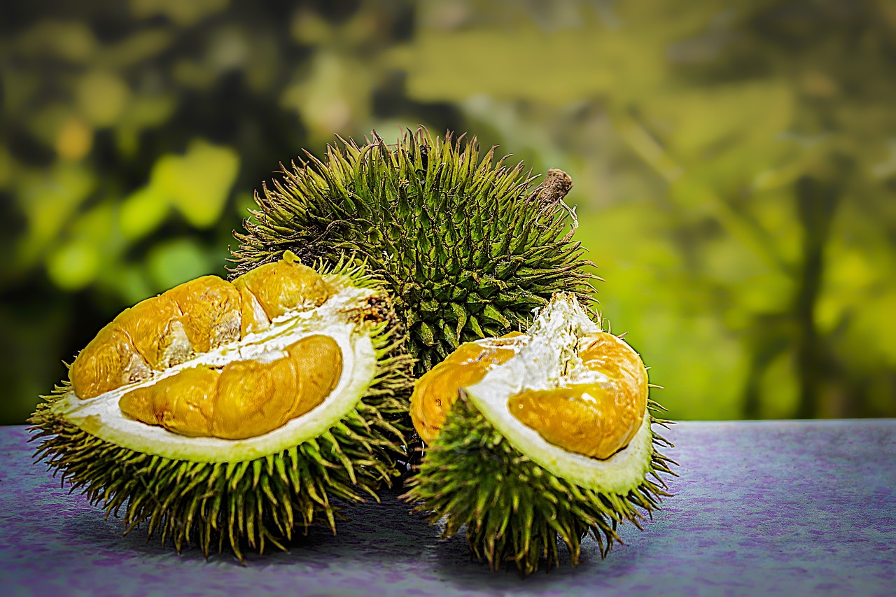 lista-fructe-exotice-Durian