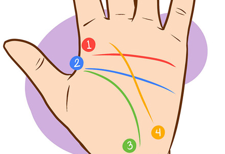 liniile principale ale palmei