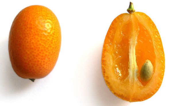 poza fruct exotic kumquat