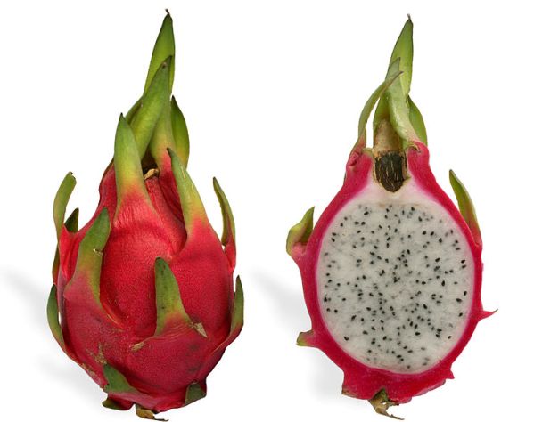 poza fruct exotic pitaya