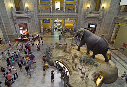  muzeul american de istorie naturala