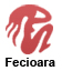 fecioara