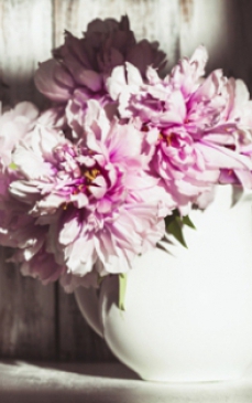 20 de imagini cu flori de primavara care te vor fascina