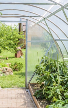 Cum sa iti construiesti un solar pentru legume: Sfaturi de care sa tii cont