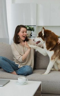 Cum îţi menţii locuinţa curată când ai un câine