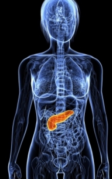 Cancerul pancreasului endocrin (insulinomul)- simptome, diagnostic si tratament