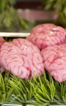 Creierul de vaca (fiert) - Informatii nutritionale