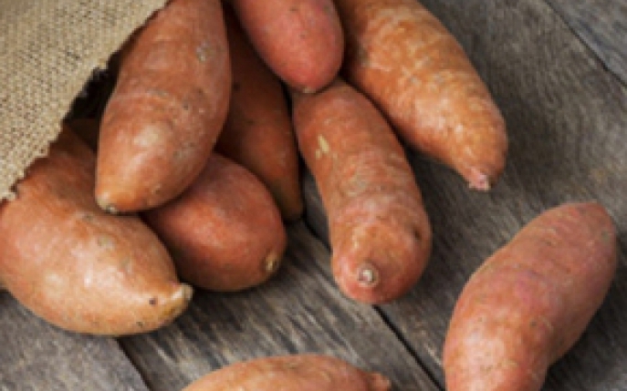 Cultivarea cartofilor dulci: informatii de baza si trucuri