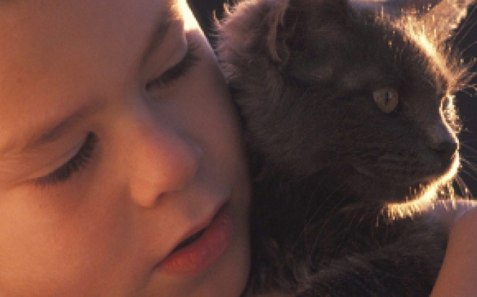 Inca un motiv sa iubesti pisicile: Uite cum a salvat viata acestui copil