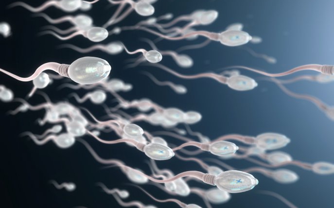 Afla ce contine sperma si ce efecte are asupra organismului!