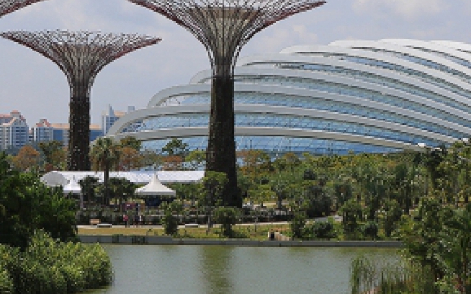 Vacanta in Singapore: obiective si destinatii de vis