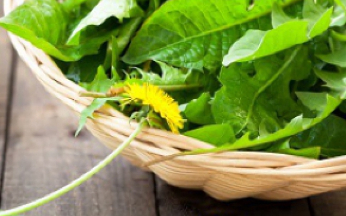 Salata de papadie: reteta si beneficii pentru sanatate