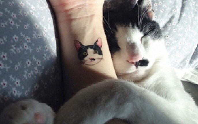 Idei de tatuaje interesante cu pisici