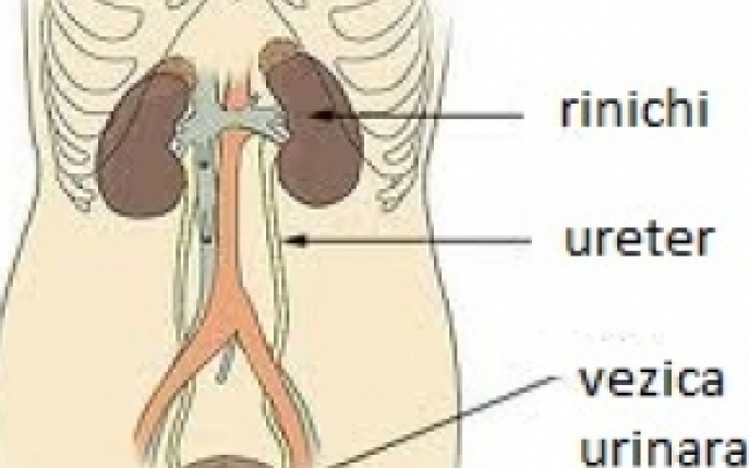 Infectia tractului urinar - simptome, diagnostic, tratament