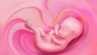 Care este cantitatea de lichid amniotic în sarcină? Când este normal și când trebuie să te îngrijorezi