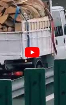 Camion cu lemne, filmat în timp ce circulă pe contrasens pe o autostradă din România. La un pas de tragedie