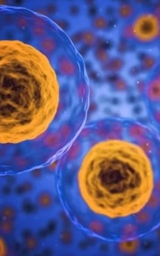 Descoperirea oamenilor de știință: dieta care reduce răspândirea cancerului de prostată