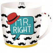 Cana haioasa in cutie metalica - Mr Right Mustache Mug
