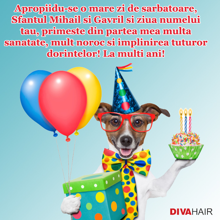 Felicitare amuzanta Sfantul Mihail si Gavril Felicitari Felicitare