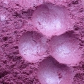 PIGMENT COSMETIC PERLAT 45 ROZ PINK ALBASTRUI 3 GR