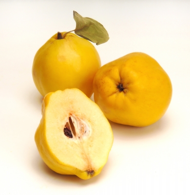 Mancarica rece