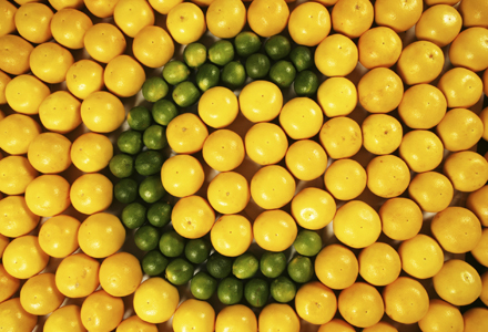 poza vitamina C contra racelii poza vitamina C contra racelii