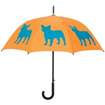 Umbrele de ploaie
