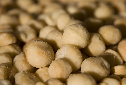 nuci macadamia poza nuci macadamia