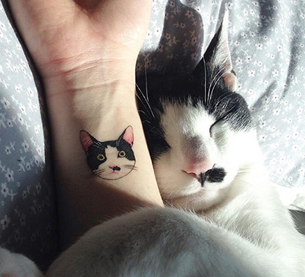 Tatuaje Pisici