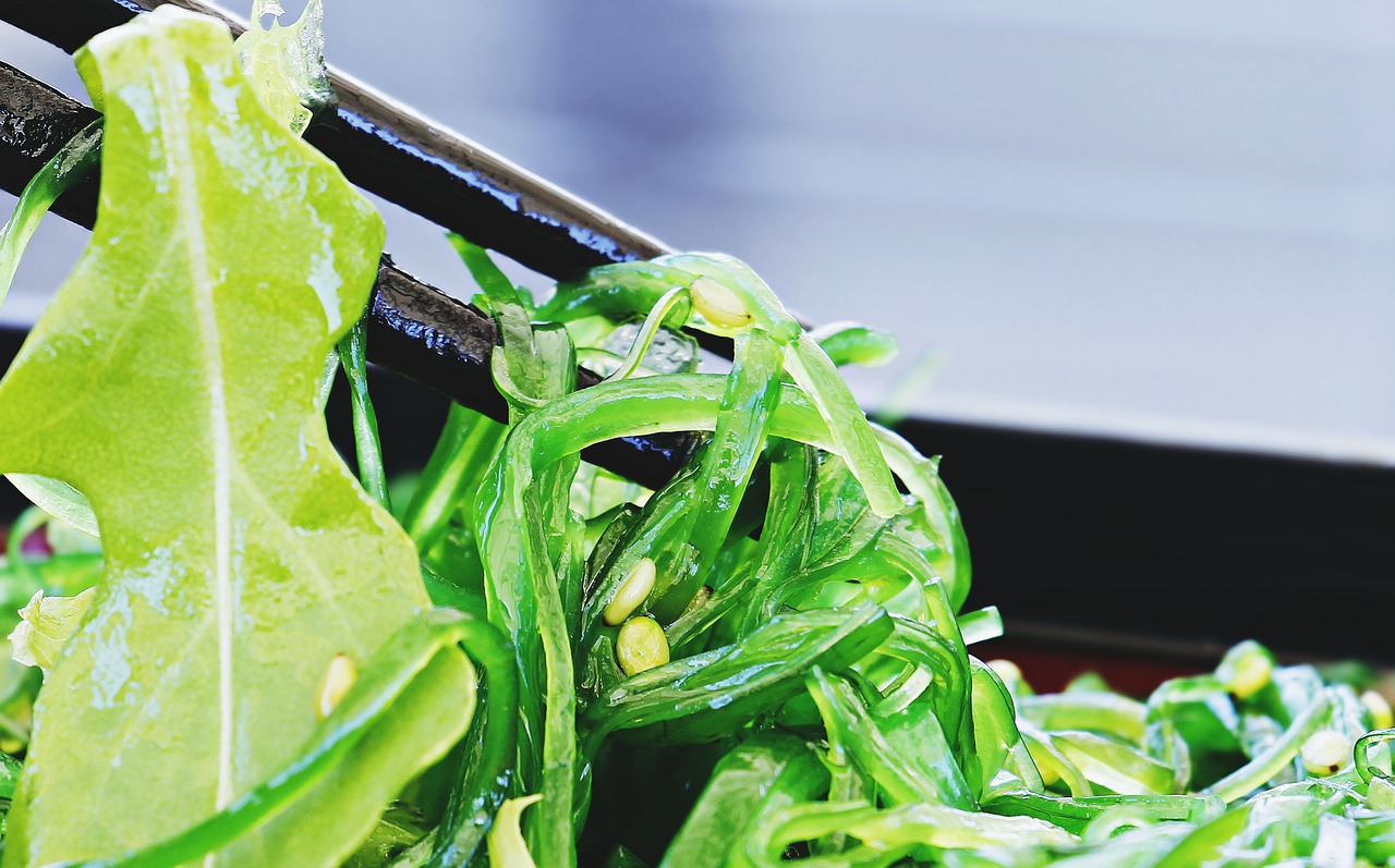 alge gatite asezate pe o farfurie