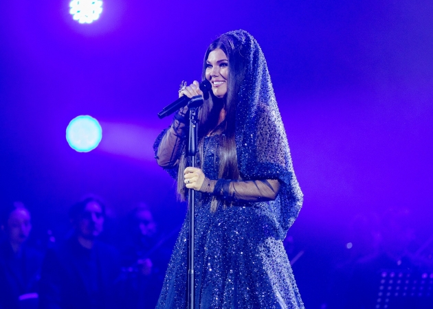 paula seling imbracata cu o rochie spectaculoasa cu cristale la concertul de la sala palatului