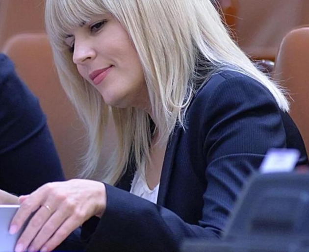 elena udrea, fosta ministra a turismului va fi eliberata conditionat