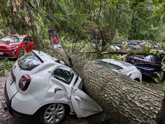 copac cazut peste autoturism la sinaia