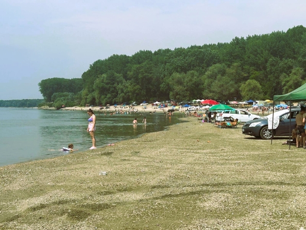 plaja neautorizata de la gostinu, judetul giurgiu