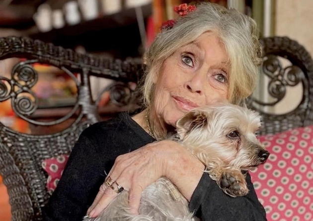brigitte bardot imbratisand un caine pe o canapea