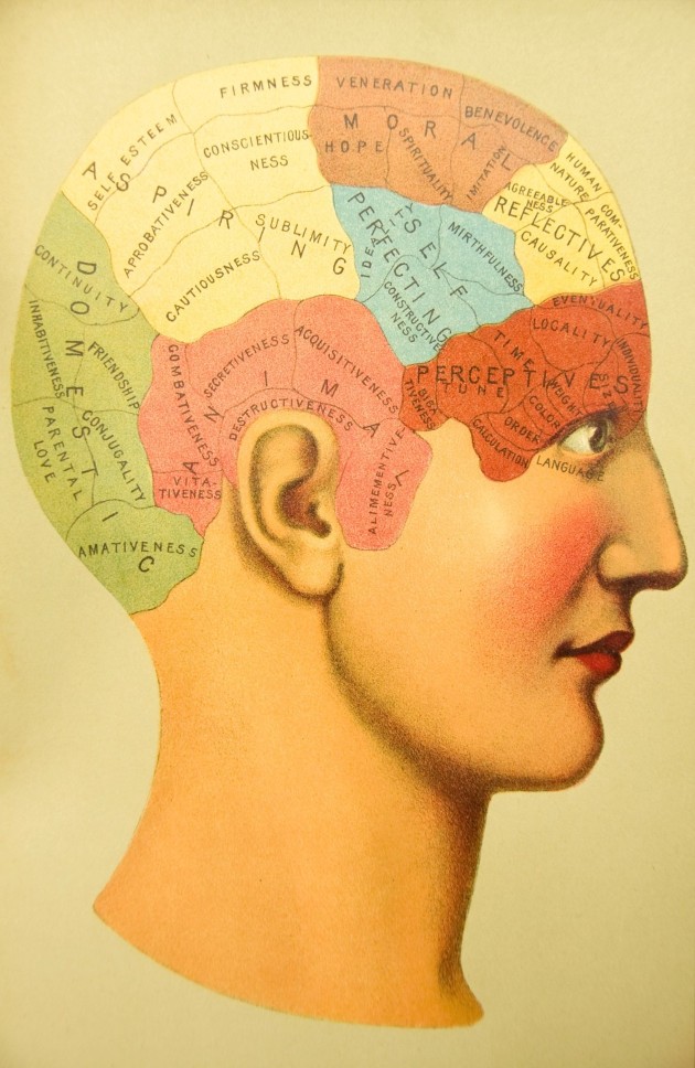 Imagine cu un cap și cu formațiunile creierului