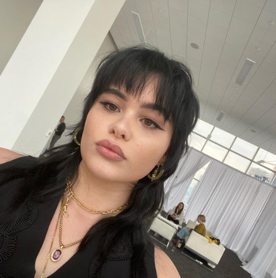 Imagine cu Barbie Ferreira purtând chică