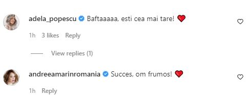 Imagine cu comentarii de la postarea Danei Rogoz de la Instagram, unde povestește ce tribut îi pregătește tatălui ei