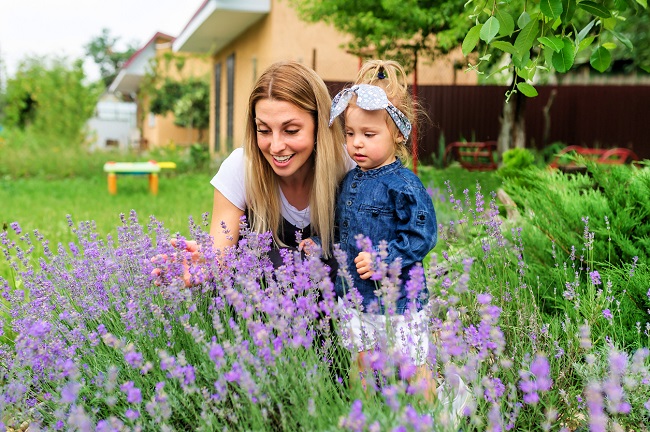 o mama si fetita ei privesc o plantatie cu lavanda, intr-o curte inverzita