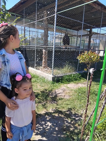 două fetițe în fața unei cuști de la o grădină zoologică