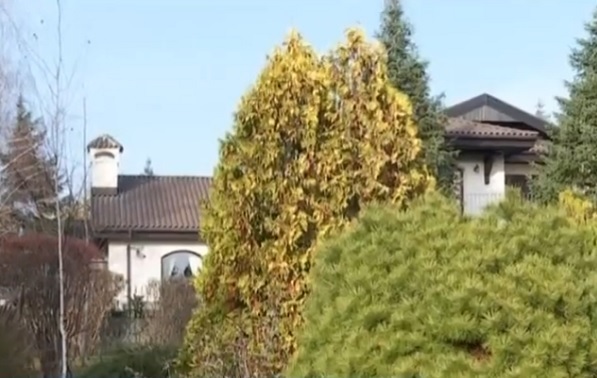 imagine cu vila si arborii din gradina lui Cristian Ț&acirc;nțăreanu de pe proprietatea sa din cartierul Paradisul Verde din Corbeanca