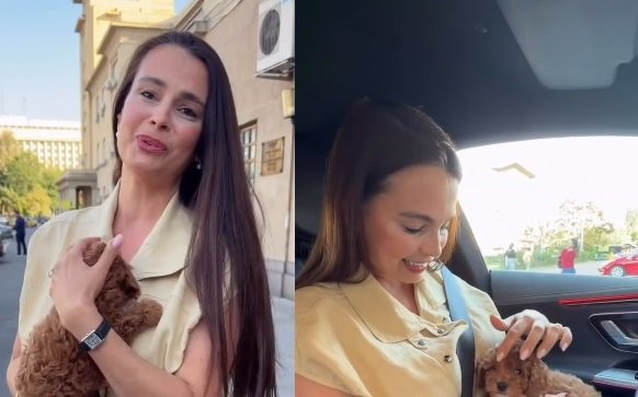 colaj imagini, Anca Serea imbracata cu camasa fara maneca galben pai, tinand la piept un catelus maroniu din rasa Cavapoo in timp ce se afla in oras si Anca Serea zambitoare, imbracata in bluza galben pai fara maneci, in timp ce se afla in masina ei si il tine in brate pe catelus