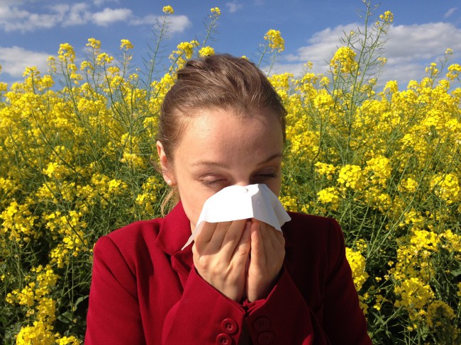 Femeie isi sufla nasul de la reactie alergica