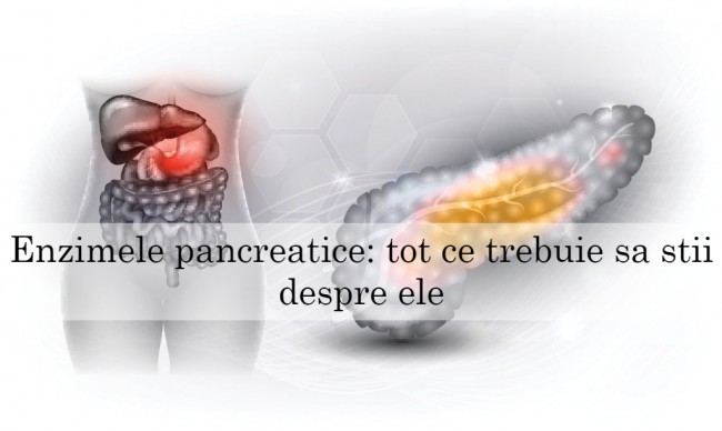 Anatomia pancreasului