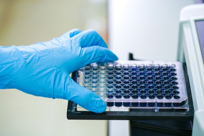 placuta microscop test ELISA