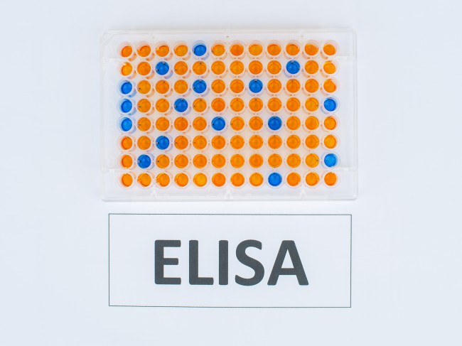 placuta mostre test ELISA