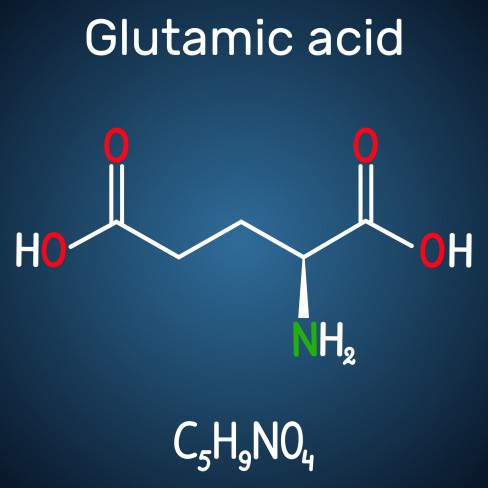 Glutamat–piruvat transaminaza (TGP)